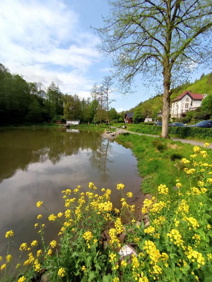 Ferienwohnung Sauerland Burgfenster Lennestadt Buitenkant foto