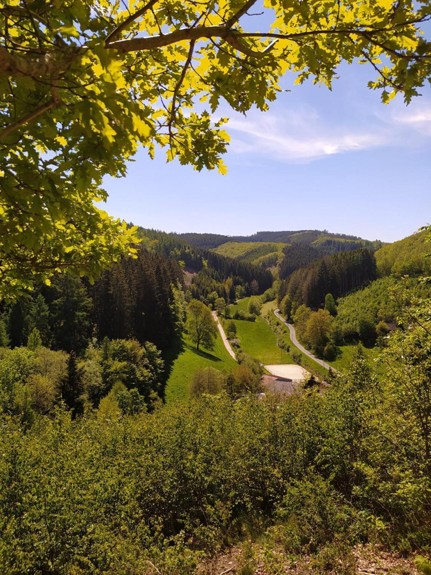 Ferienwohnung Sauerland Burgfenster Lennestadt Buitenkant foto